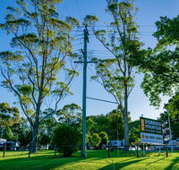 Dorrigo Mountain Holiday Park - Kingaroy Accommodation