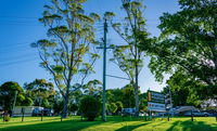 Book Dorrigo Accommodation Vacations Kingaroy Accommodation Kingaroy Accommodation