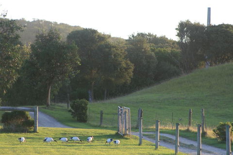 Driftwood Villas - Kingaroy Accommodation 1