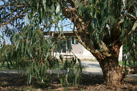 Driftwood Villas - Kingaroy Accommodation 3