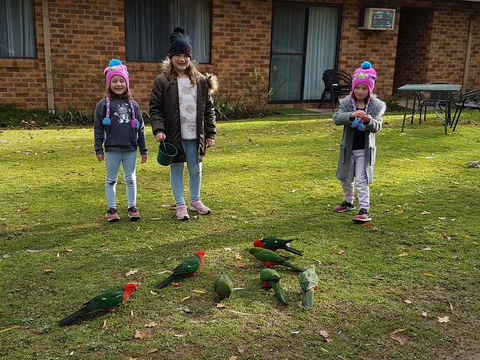 Eildon Parkview Motor Inn - Kingaroy Accommodation 1