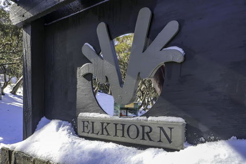 Elkhorn 11 - Kingaroy Accommodation 2
