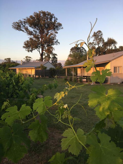 Emma's Cottage Vineyard - Kingaroy Accommodation 3