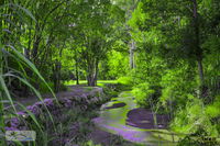 Book Esk Accommodation Vacations Kingaroy Accommodation Kingaroy Accommodation