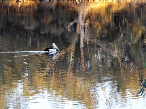 Euston Club Motel - Kingaroy Accommodation 0