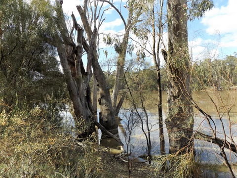 Euston Club Motel - Kingaroy Accommodation 3