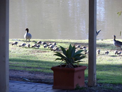Euston Club Motel - Kingaroy Accommodation 1