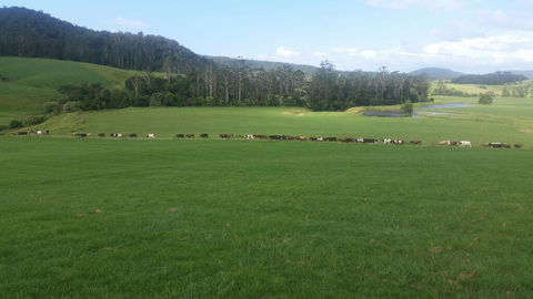 Farm Golf - Kingaroy Accommodation 2
