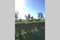 Book Benalla Accommodation Vacations Kingaroy Accommodation Kingaroy Accommodation