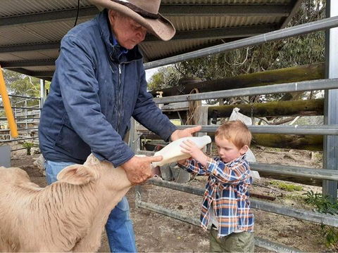 Fay's Cottage - Kingaroy Accommodation 1