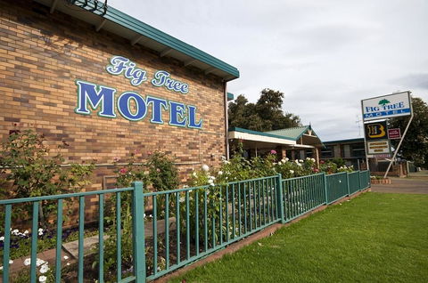 Fig Tree Motel - Kingaroy Accommodation 2