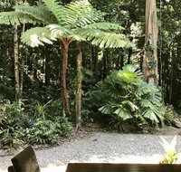 Forest Views Daintree - Kingaroy Accommodation