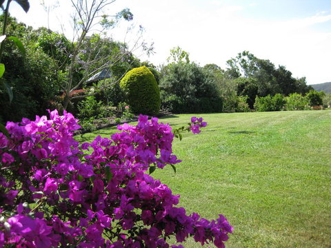 French Cottage & Loft - Kingaroy Accommodation 3