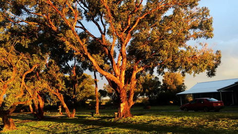 French Island Cottage - Kingaroy Accommodation 1