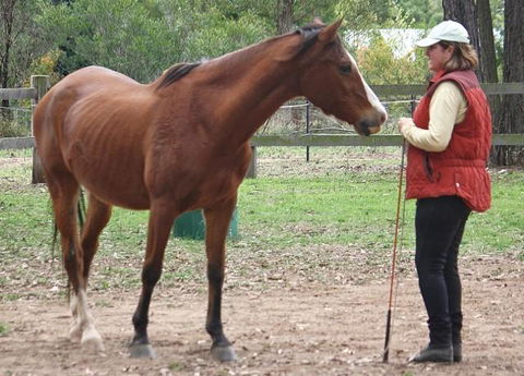 Fullcircle Farm - Kingaroy Accommodation 2