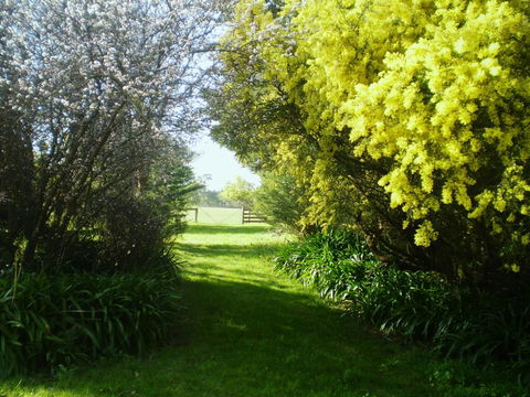 Galwiji Homestead - Kingaroy Accommodation 3