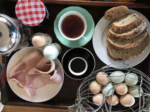 Gilgraves Vineyard Farmstay - Kingaroy Accommodation 1