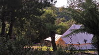 Book Zeehan Accommodation Vacations Kingaroy Accommodation Kingaroy Accommodation