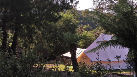 Glamping At Zeehan Bush Camp - Kingaroy Accommodation 0