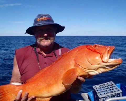Gnaraloo Station - Homestead - Kingaroy Accommodation 1
