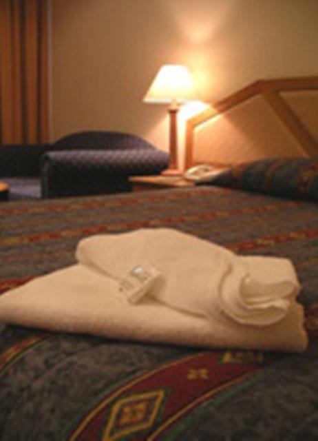 Goulburn Central Motor Lodge - Kingaroy Accommodation 3