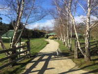 Green Gables BB