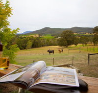 Grevillea Rise - Kingaroy Accommodation