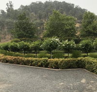 Guinevere - Kingaroy Accommodation