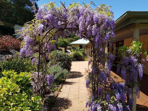 Gumtree House Montville - Kingaroy Accommodation 0