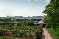 Book Pokolbin Accommodation Vacations Kingaroy Accommodation Kingaroy Accommodation