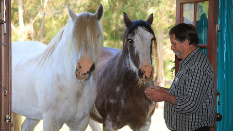 Hatchers Richmond Manor - Kingaroy Accommodation 1