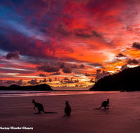 Heather's Mica Cottage - Kingaroy Accommodation