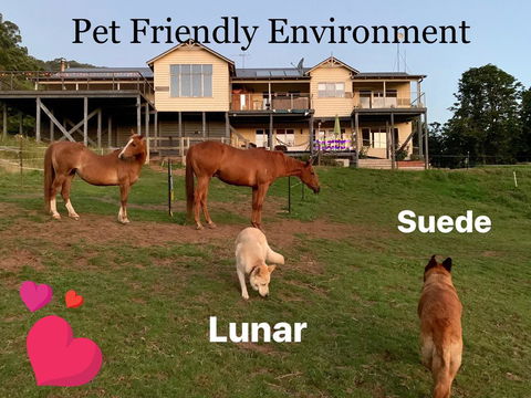 Heavenly Retreat B&B - Kingaroy Accommodation 1