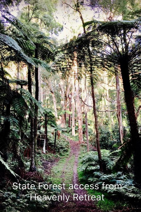 Heavenly Retreat B&B - Kingaroy Accommodation 3