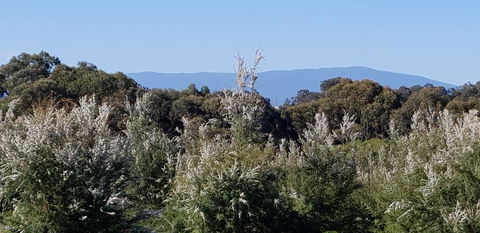 Hideaway Valley Farm - Kingaroy Accommodation 1