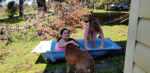 Hideaway Valley Farm - Kingaroy Accommodation 3