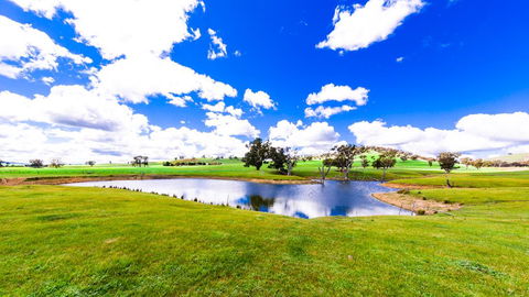 Hillview Farmstay - Kingaroy Accommodation 0
