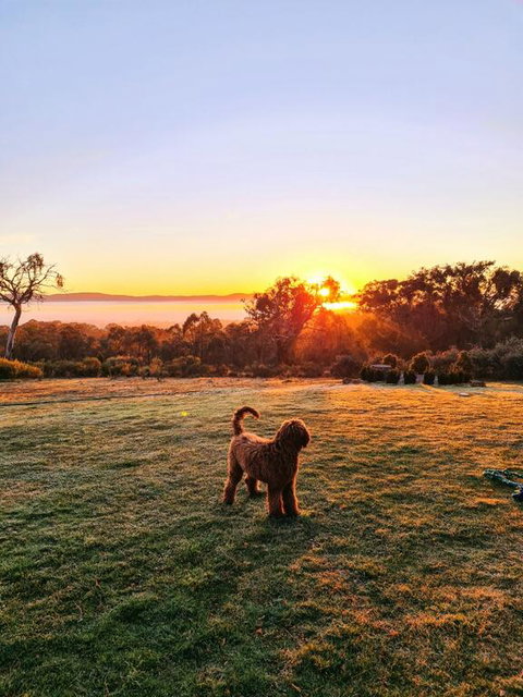 Horningsea - Kingaroy Accommodation 3