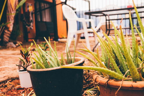 JJs Backpackers Hostel - Kingaroy Accommodation 2