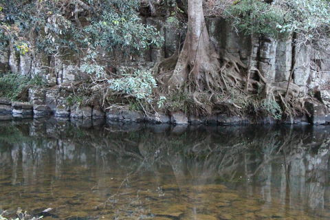 Kaalba - Kingaroy Accommodation 1