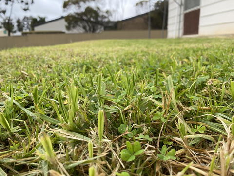 Karoonda Accommodation - Kingaroy Accommodation 0
