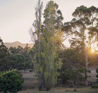 Karribank and the Karri On Bar - Kingaroy Accommodation