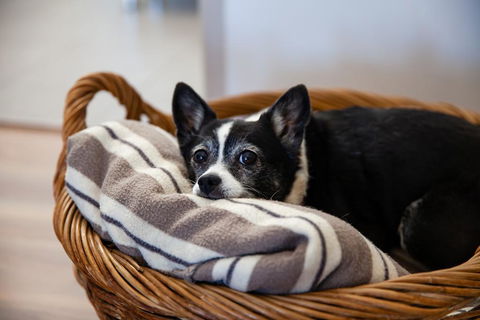 Kingaroy Country Motel - Kingaroy Accommodation 3