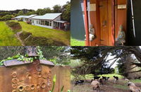 Book Kongwak Accommodation Vacations Kingaroy Accommodation Kingaroy Accommodation