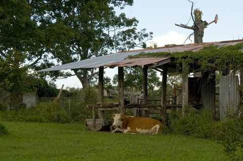 Lagoon Pocket Bed & Breakfast - Kingaroy Accommodation 3