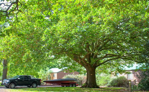 Lakes And Craters Holiday Park - Kingaroy Accommodation 2