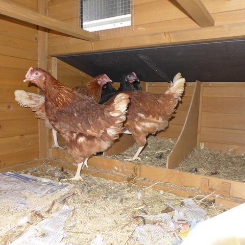 Lenoroc - Kingaroy Accommodation 3