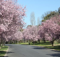Leo's Rest Bathurst NSW - Kingaroy Accommodation
