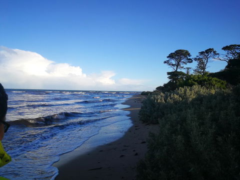 Lily Family - Kingaroy Accommodation 2