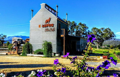 Lupos Loft - Kingaroy Accommodation 1